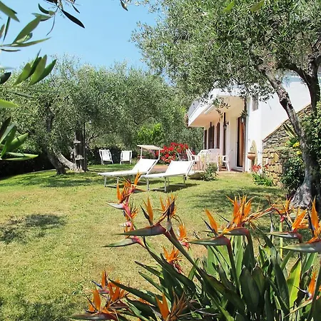 Gli Ulivi Di Alberto Diano Marina